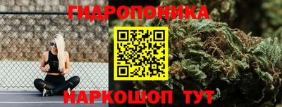 mdpv Гатчина