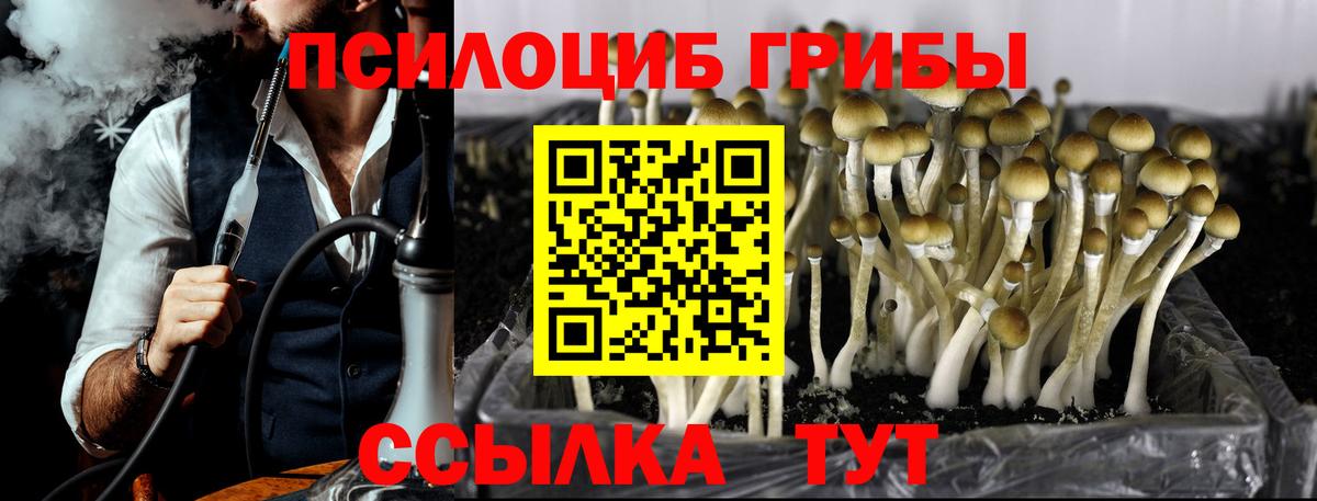 КОКАИН  Мариинск  NBOMe  Вход с VPN  Меф МЯУ МЯУ   Вейп ТГК  Канабис  Героин  Гашиш 